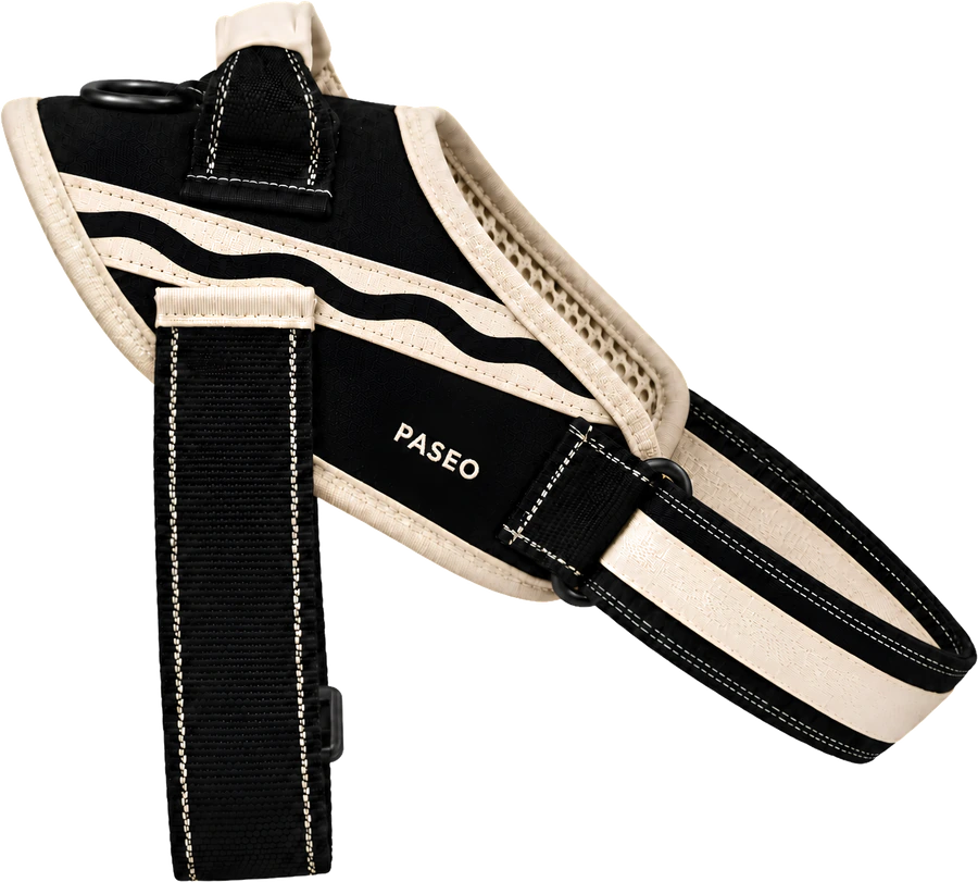 The Concrete harness: a single cream wave running its length, reflective stitching.